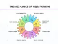 Mechanika yield farming: od wyboru platformy DeFi, przez smart kontrakty, aż po monitorowanie zysków i nagród. To klucz do efektywnego harvest finance.