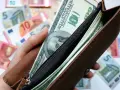 Dłoń trzyma brązowy portfel z banknotami dolarowymi. W tle widać rozrzucone euro. Czy warto kupować dolary?