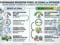 Porównanie brokera UE (ESMA) i brokera offshore: dźwignia, stop out, ochrona przed ujemnym saldem i segregacja środków.
