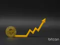 Złoty bitcoin i żółty wykres wzrostu symbolizują rosnącą wartość, przypominając, ile kosztował bitcoin w 2013 roku i jak bardzo się zmienił.
