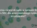 Wyrok w sprawie Ripple vs SEC: czy to koniec kryptowalut w USA? Grafika przedstawia ikony różnych kryptowalut na tle sieci.