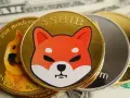 Złote monety z wizerunkiem psa rasy Shiba Inu i napisem $SHIB, obok monety Dogecoin. Spekulacje na temat shiba inu coin prognozy.