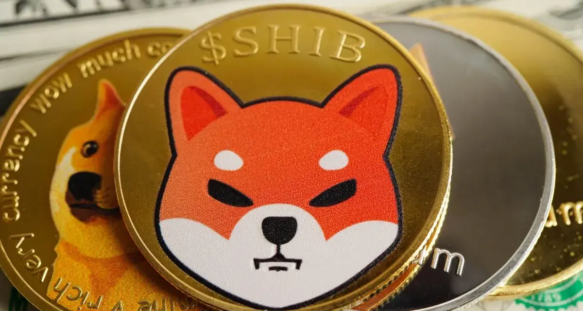 Złote monety z wizerunkiem psa rasy Shiba Inu i napisem $SHIB, obok monety Dogecoin. Spekulacje na temat shiba inu coin prognozy.