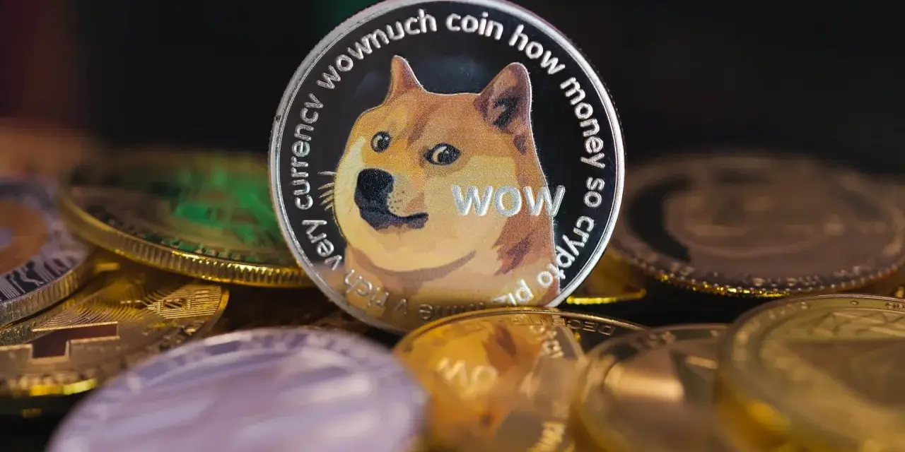 Dogecoin, "wowmuch coin how money so crypto", otoczony innymi monetami. Analiza dogecoin prognoza.