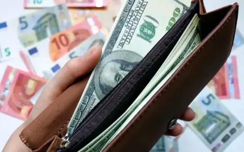 Dłoń trzyma brązowy portfel z banknotami dolarowymi. W tle widać rozrzucone euro. Czy warto kupować dolary?