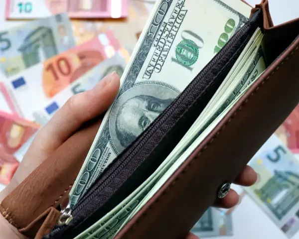 Dłoń trzyma brązowy portfel z banknotami dolarowymi. W tle widać rozrzucone euro. Czy warto kupować dolary?