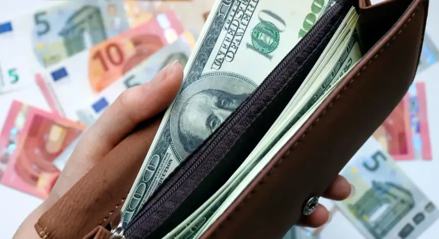 Dłoń trzyma brązowy portfel z banknotami dolarowymi. W tle widać rozrzucone euro. Czy warto kupować dolary?