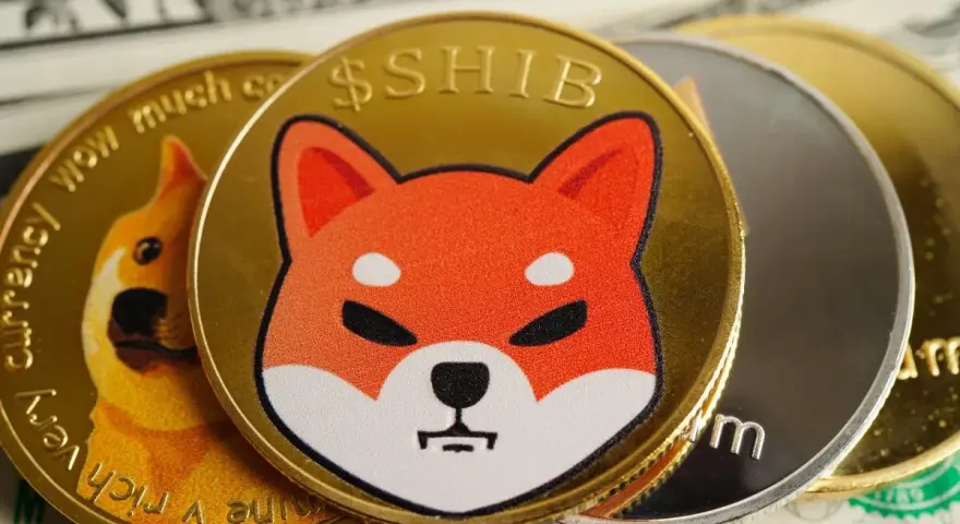 Złote monety z wizerunkiem psa rasy Shiba Inu i napisem $SHIB, obok monety Dogecoin. Spekulacje na temat shiba inu coin prognozy.