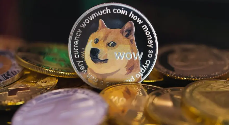 Dogecoin, "wowmuch coin how money so crypto", otoczony innymi monetami. Analiza dogecoin prognoza.