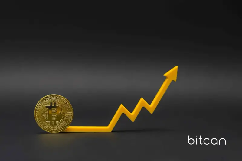 Złoty bitcoin i żółty wykres wzrostu symbolizują rosnącą wartość, przypominając, ile kosztował bitcoin w 2013 roku i jak bardzo się zmienił.